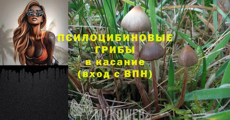 Псилоцибиновые грибы MAGIC MUSHROOMS  OMG как войти  Высоковск 